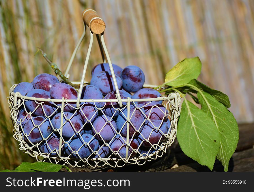 A close up of a basket full of plums. A close up of a basket full of plums.