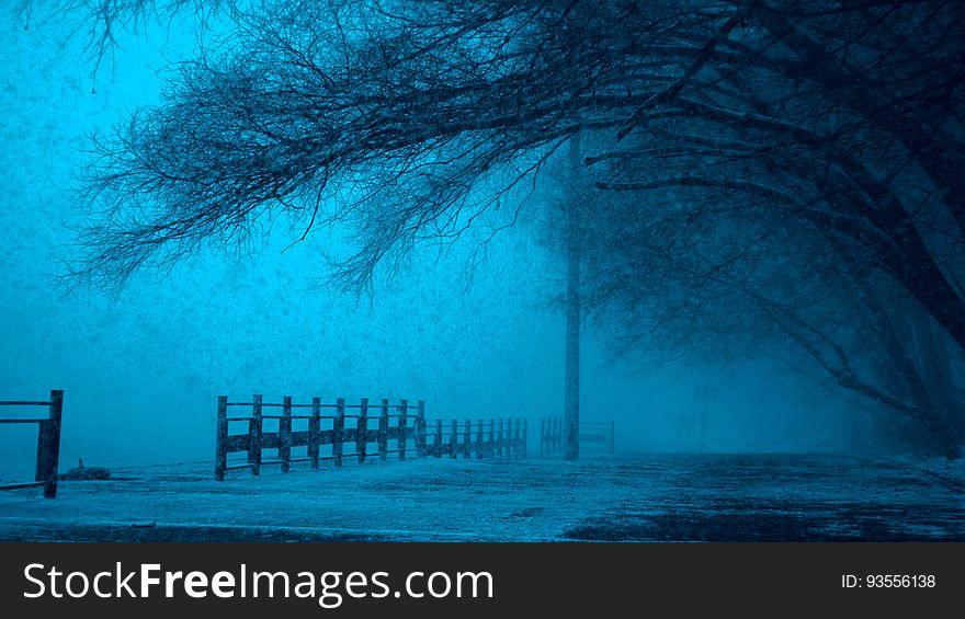 Misty path by frozen lake in winter with blue tone. Misty path by frozen lake in winter with blue tone.