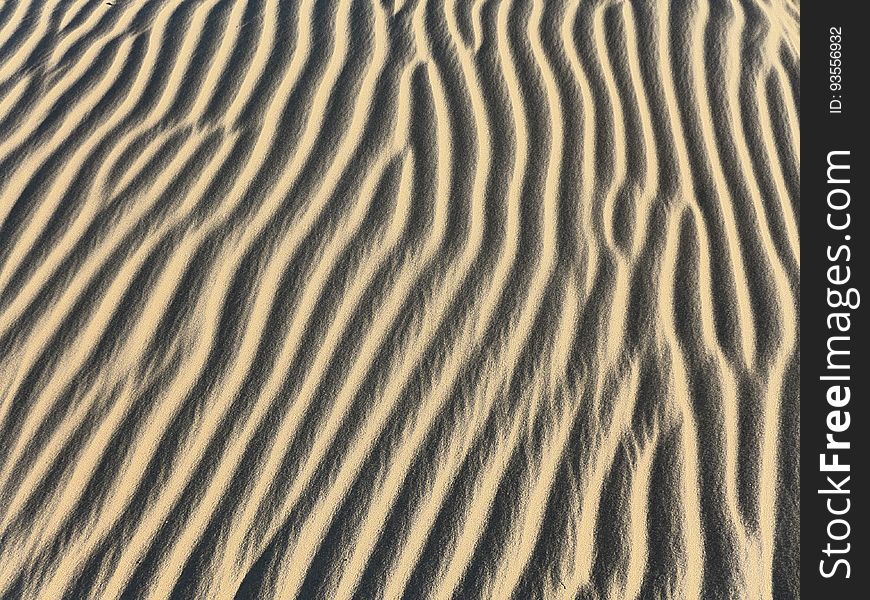 A desert landscape with sandy dunes. A desert landscape with sandy dunes.