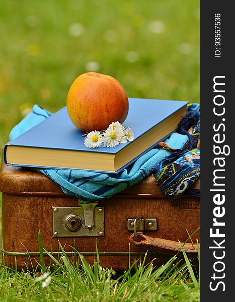 Old fashioned brown suitcase in a meadow with clothes, gray book and red apple on top together with daisies, blurred green background. Old fashioned brown suitcase in a meadow with clothes, gray book and red apple on top together with daisies, blurred green background.