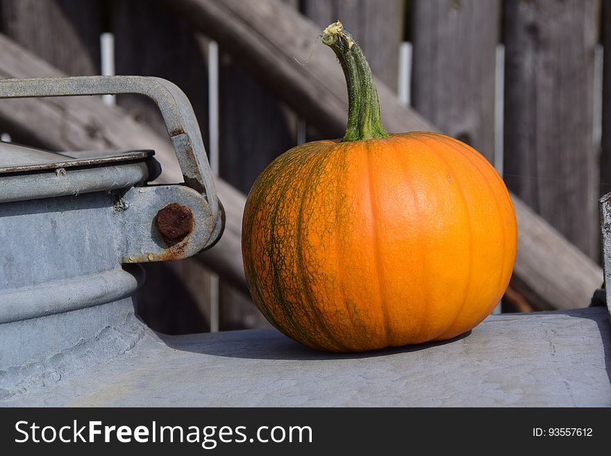 Ripe Pumpkin