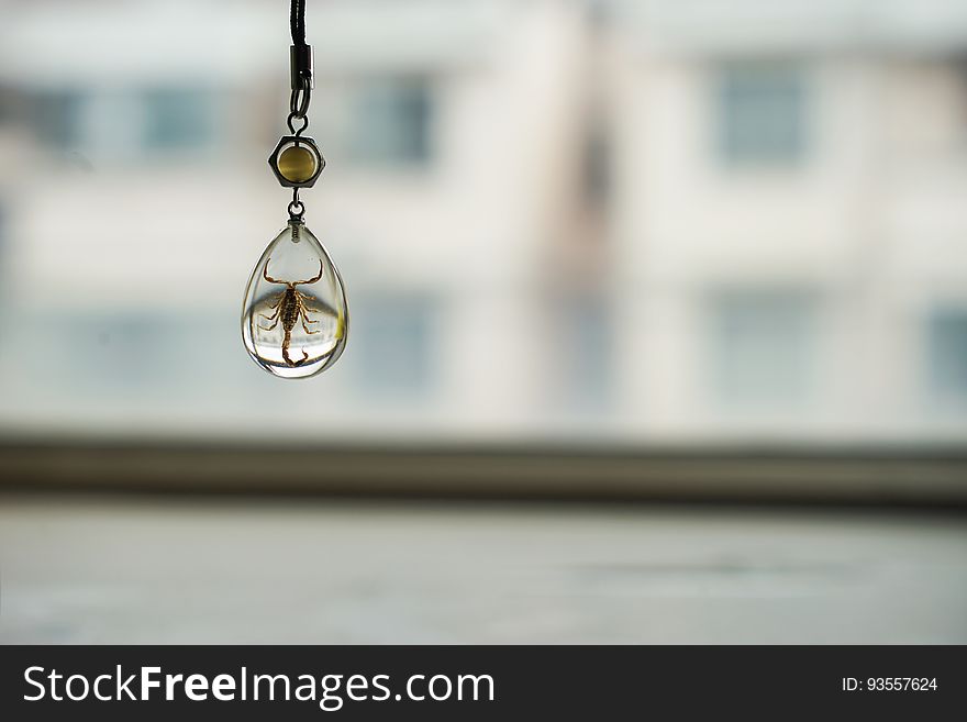 Transparent scorpion necklace chain hanging indoors with bright light background.