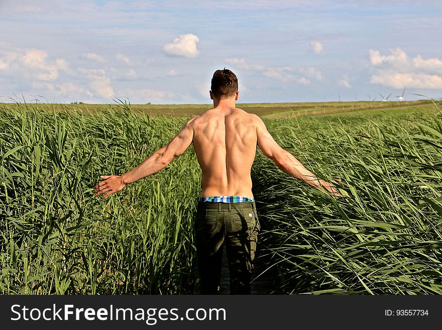 A young muscular man standing in a meadow touching the crops. A young muscular man standing in a meadow touching the crops.