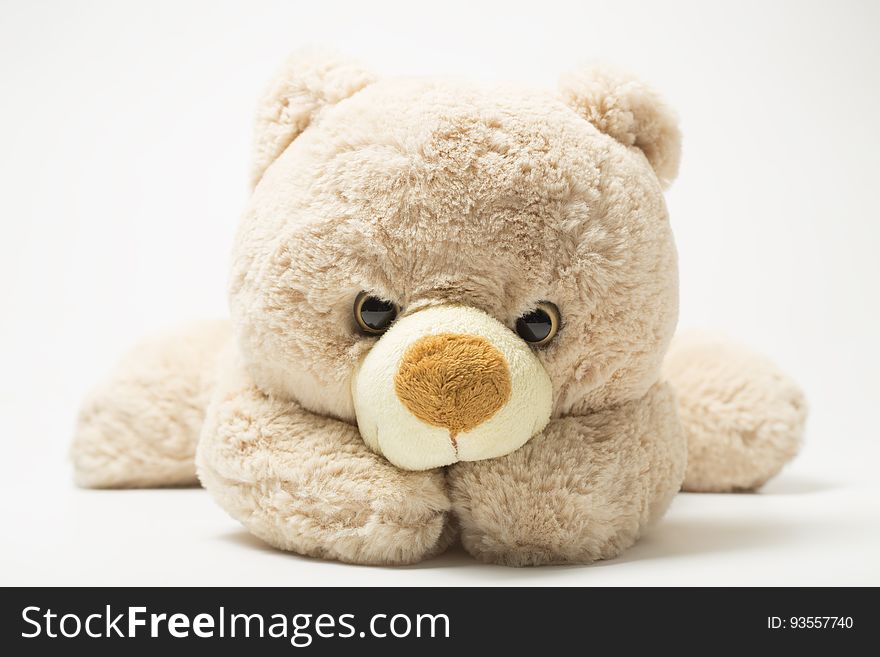 A close up of a teddy bear on a white background. A close up of a teddy bear on a white background.