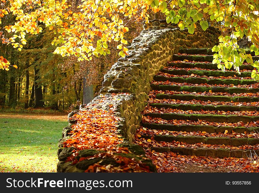 An old staircase with autumn leaves fallen from the trees. An old staircase with autumn leaves fallen from the trees.