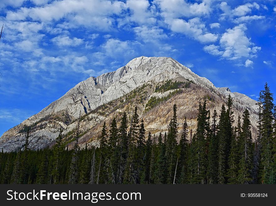 A rocky mountain peak and forest.