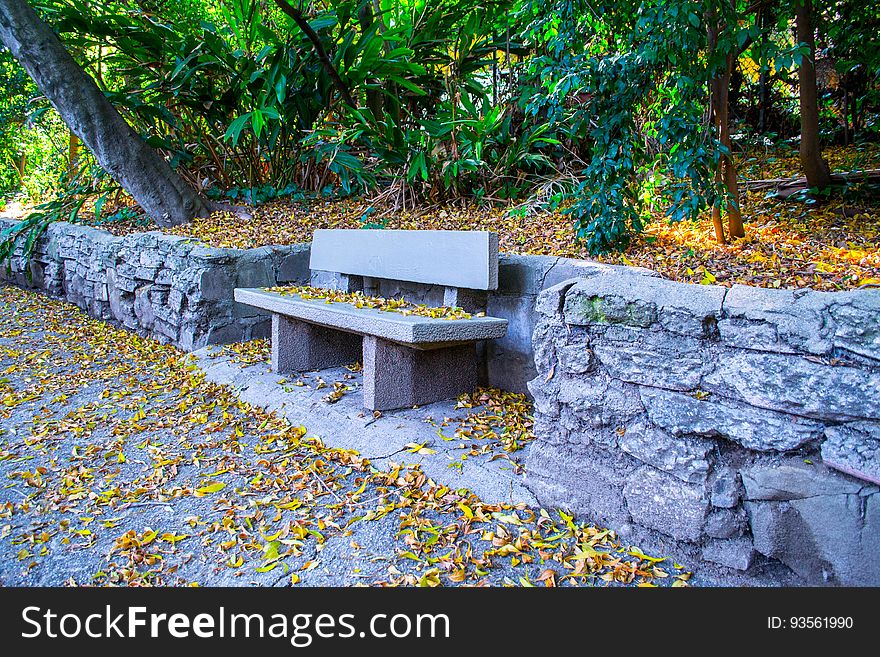 Empty park bench covered with autumn leaves on path next to stone wall in woods. Empty park bench covered with autumn leaves on path next to stone wall in woods.