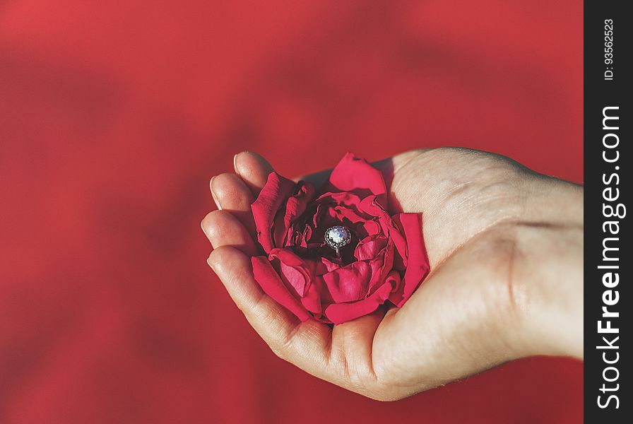Open palm of hand holding diamond ring nestled in red rose petals against red background. Open palm of hand holding diamond ring nestled in red rose petals against red background.