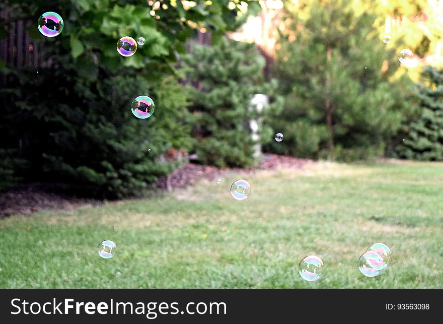 Soap bubbles floating over green grass in sunny back yard. Soap bubbles floating over green grass in sunny back yard.