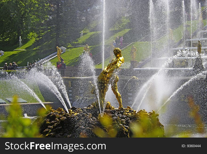 Petergof's fountain Samson on sunny day. Petergof's fountain Samson on sunny day