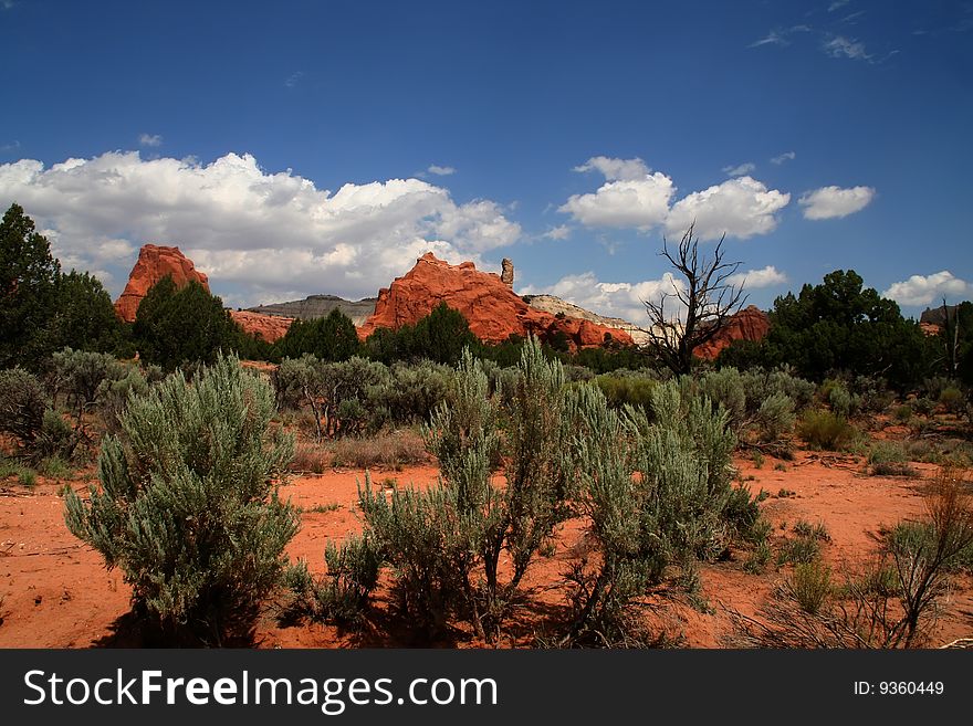 View of the red rock formations in Kodachrome Basin with blue sky's and clouds