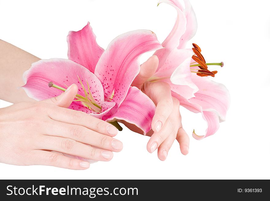 Beautiful female hands on a white background