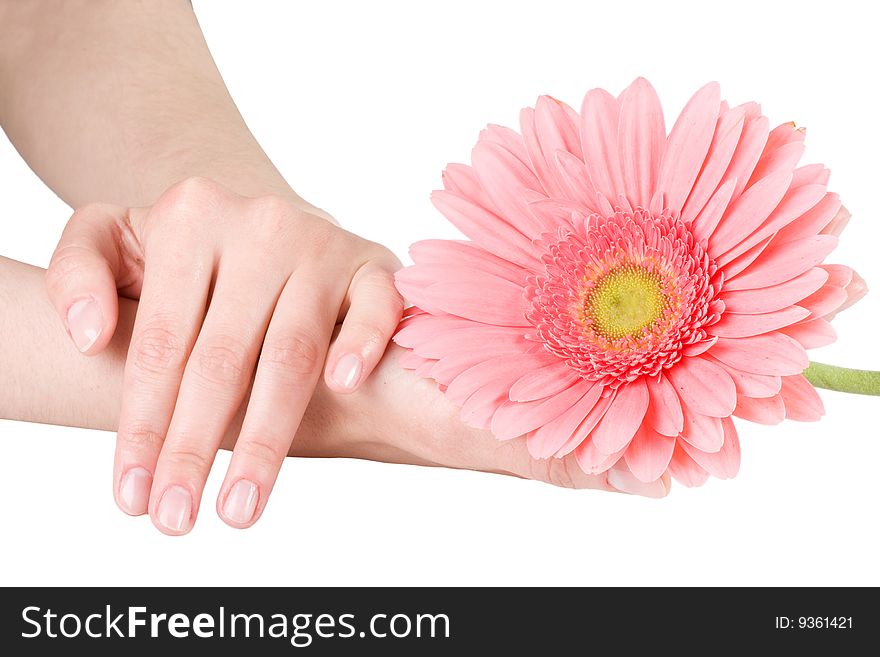 Beautiful female hands on a white background