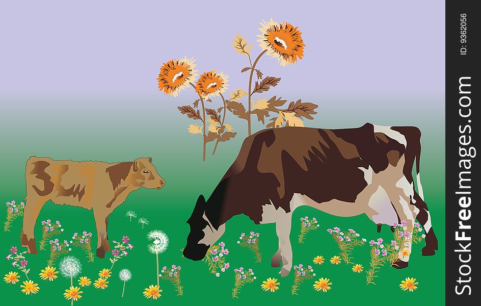 Illustration cows on field with flowers