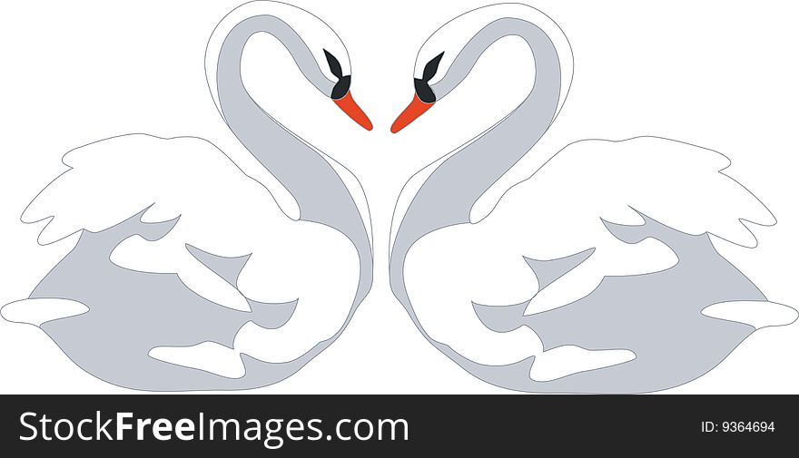 Swan couple in color 01. Swan couple in color 01