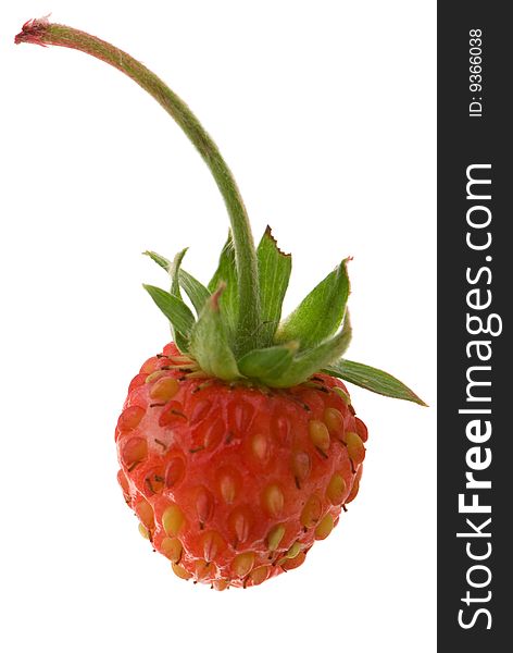 Red strawberry on the wgite background