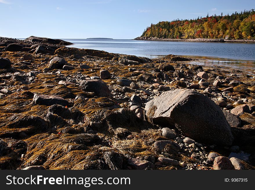 Low Tide At The Inlet, Acadia National Park, Maine