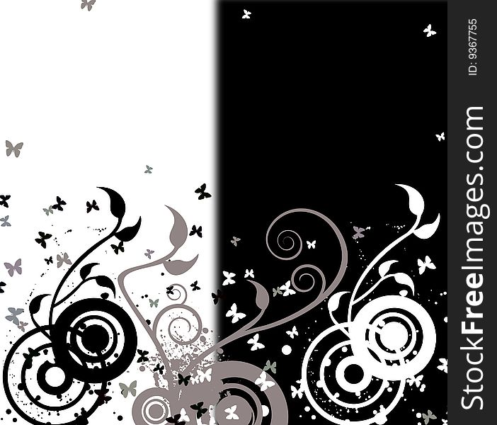 Floral    on the black and white background. Floral    on the black and white background
