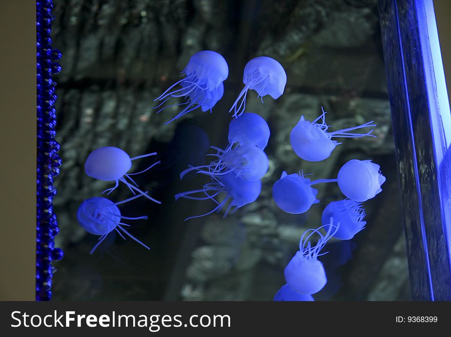 View of aquarium and floating blue animals