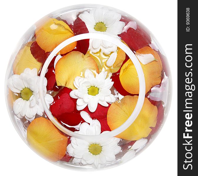 Daisies and rose petals in a round transparent glass vase. Daisies and rose petals in a round transparent glass vase
