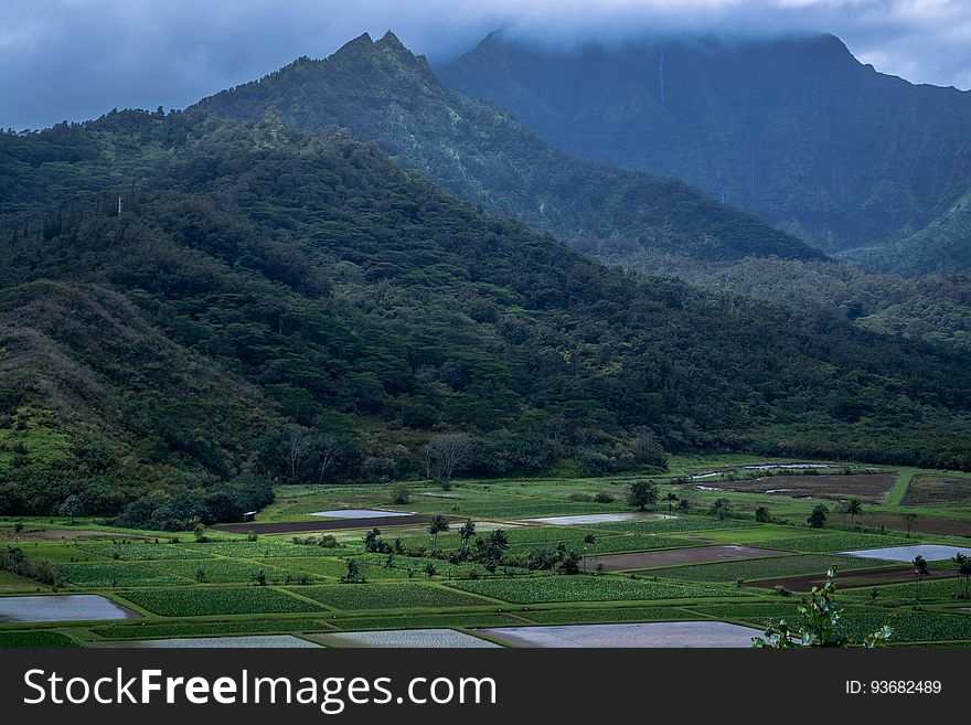 Mist over mountain range with green agricultural fields. Mist over mountain range with green agricultural fields.