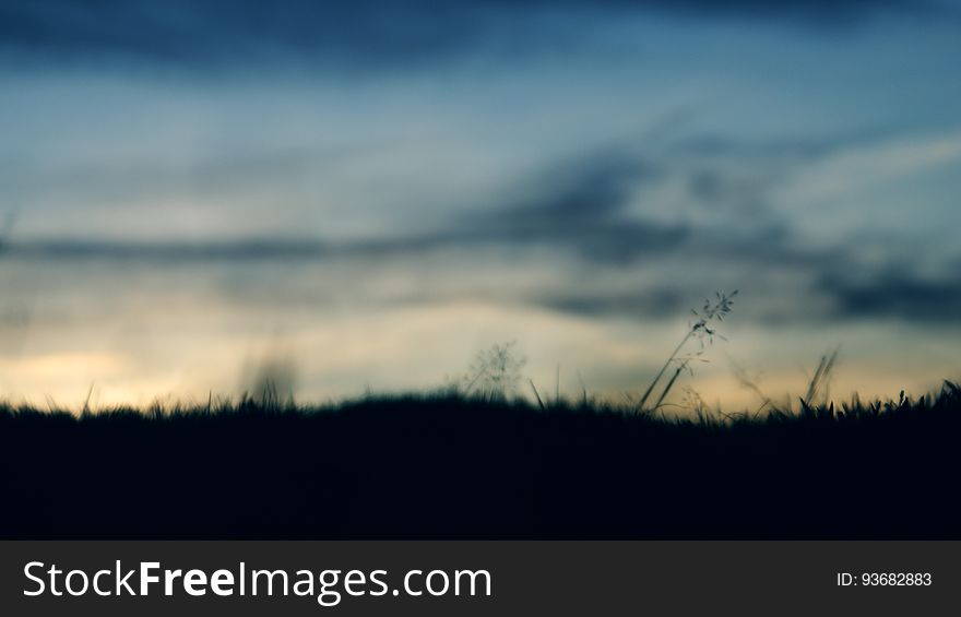 A sunset sky with silhouettes of grasses in the foreground. A sunset sky with silhouettes of grasses in the foreground.