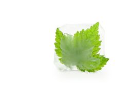 Cube Of Ice Stock Photos Cube Of Ice Stock Photos