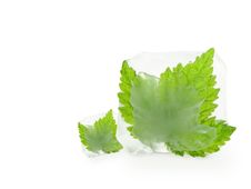 Cube Of Ice Royalty Free Stock Photo Cube Of Ice Royalty Free Stock Photo