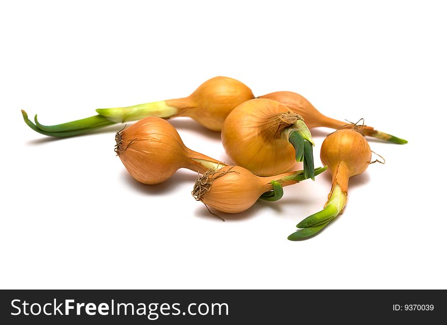 Onions Isolated On White
