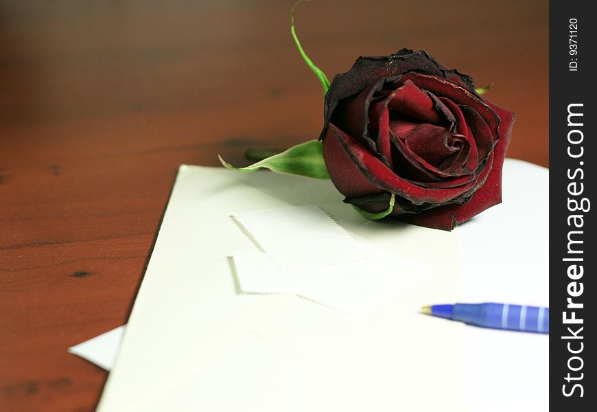 Beautiful scarlet rose and paper