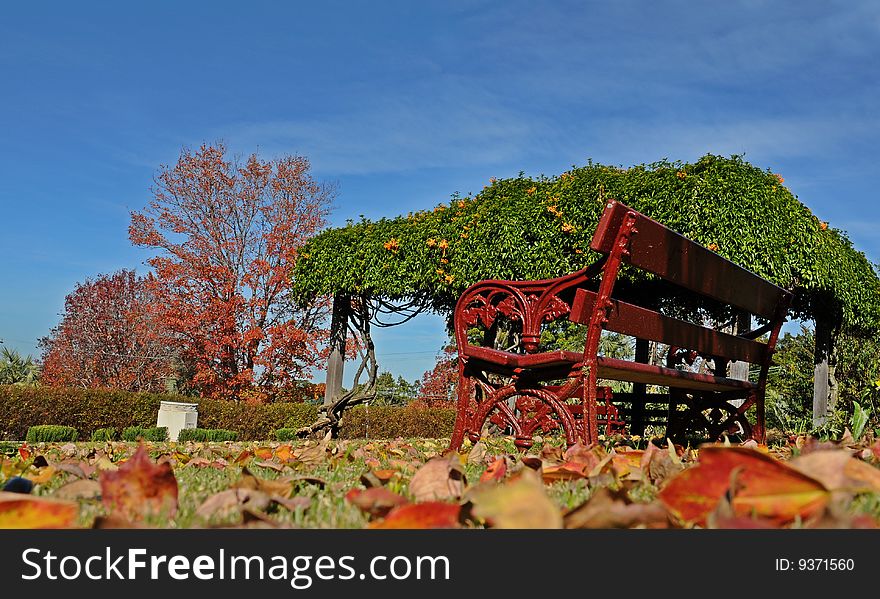 Park with bench and fall leaves. Park with bench and fall leaves