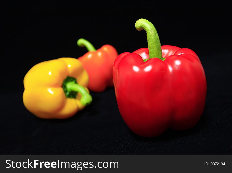 Coloirful Pepper Against Balck Background