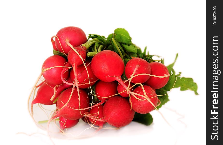 Bunch of radish isolated on white background