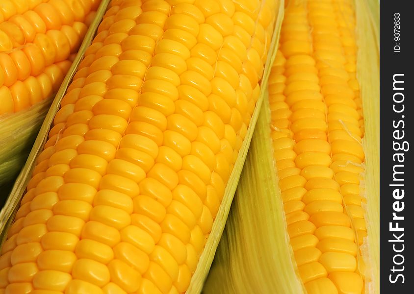 Corn Background