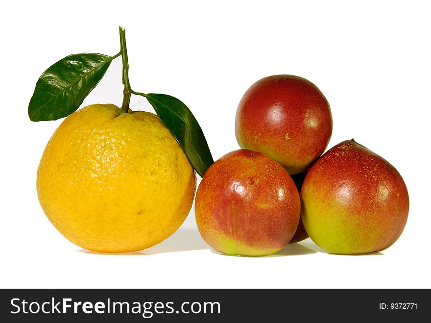 Peach and orange on the white background. Peach and orange on the white background