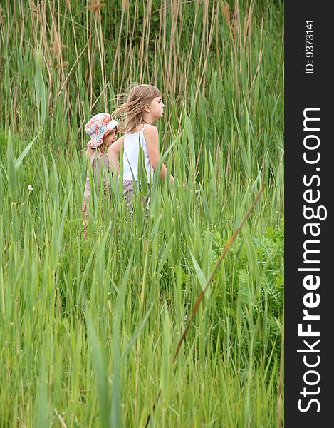 Two girls friends having a walk in long grass. Two girls friends having a walk in long grass