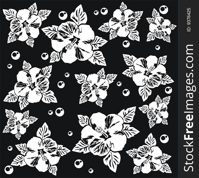 Pattern with white flowers on a black background. Pattern with white flowers on a black background.