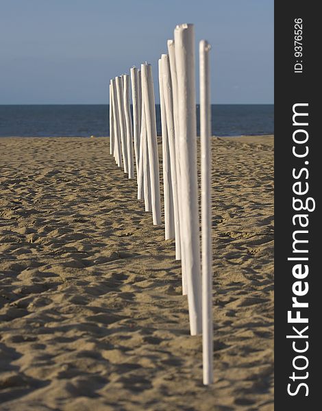 Wooden posts on a beach