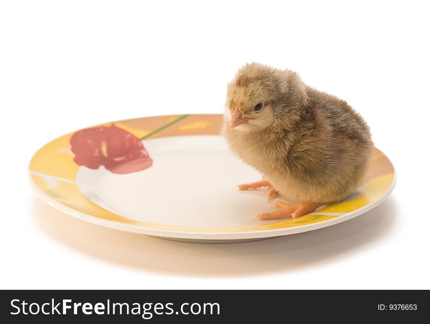 Chicken who is in a plate. Chicken who is in a plate