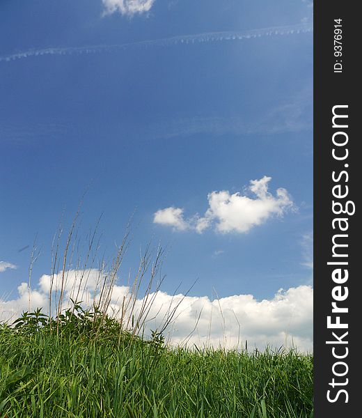Green grass and blue sky with clouds. Green grass and blue sky with clouds