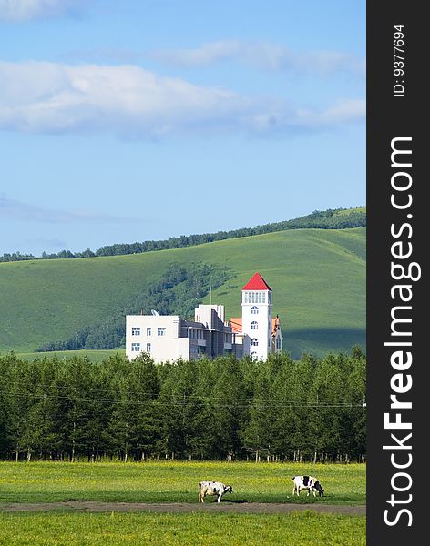 The house in green grassland. The house in green grassland