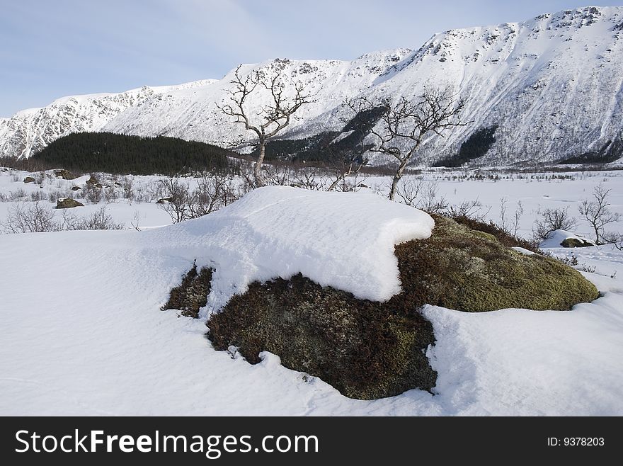 Winter landscape with a mossy rock in the foreground and mountains in the background.