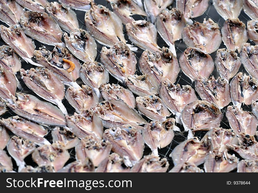 Sun dried salted fish 1