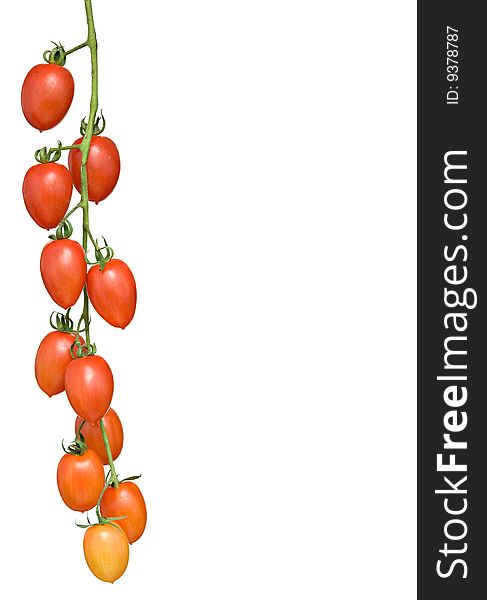 Cluster of tomatoes isolated on white background