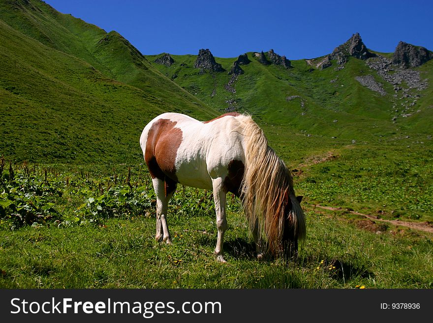 Horse on dormant volcano in France -  Puy de Sancy.