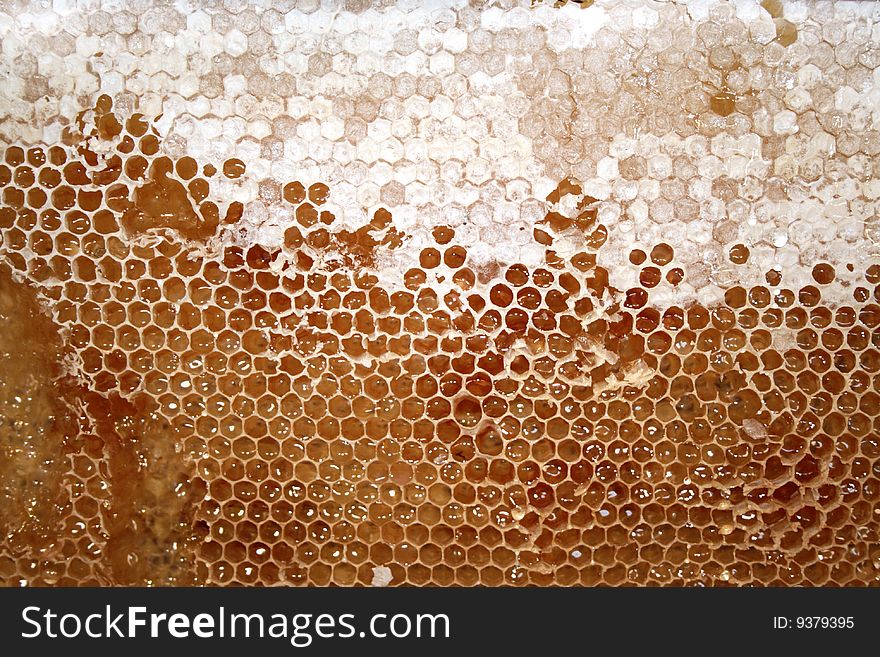 Tasty Honeycomb