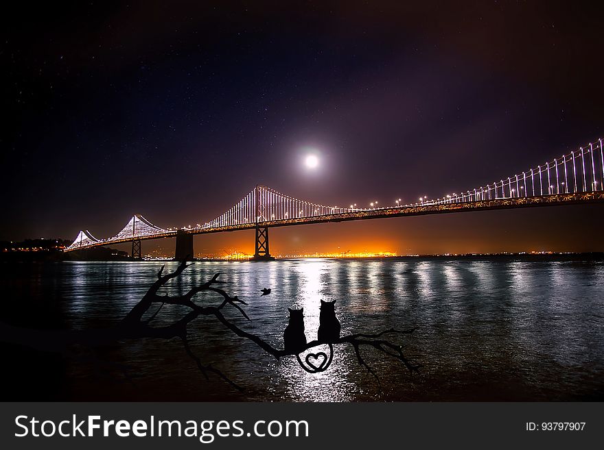 Scenic view of Oakland Bay Bridge illuminated at night with two silhouetted cats in foreground, San Francisco, California, USA. Scenic view of Oakland Bay Bridge illuminated at night with two silhouetted cats in foreground, San Francisco, California, USA.