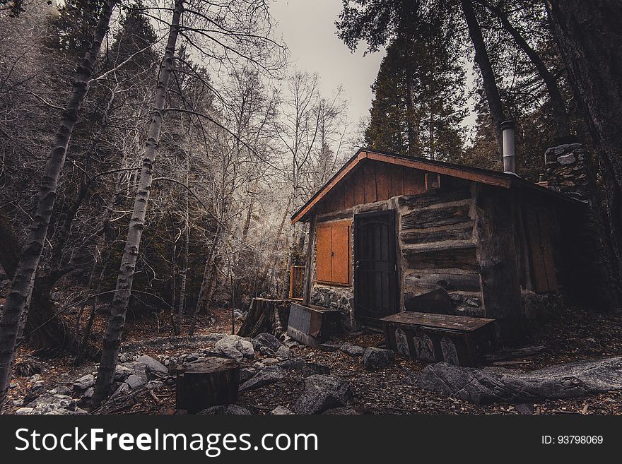 Rustic log cabin in pine tree forest in fog. Rustic log cabin in pine tree forest in fog.
