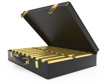 Case With Gold Royalty Free Stock Images