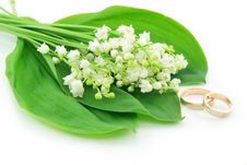 Lily Of The Valley And Golden Rings Isolated Stock Images Lily Of The Valley And Golden Rings Isolated Stock Images